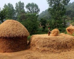 衛生紙的生產原料有哪些