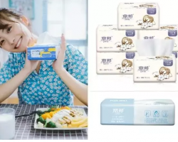 “華北紙都”攜手線上電商助力產(chǎn)業(yè)帶升級(jí)