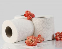 六種衛生紙紙張火焰通過焦油判斷質量的物理特征