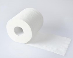 購買衛生紙時，如何辨別純木漿紙？