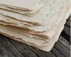 再生紙市場被看好