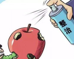 浙江龍港 ：分類推進整治印刷行業  拒不整改私自生產將嚴查