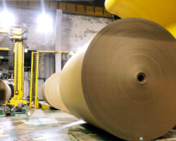 山鷹近期動作不斷 持續加碼美國市場