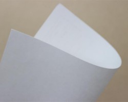 全產業鏈布局顯露威力，山鷹紙業上半年表現上佳