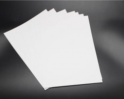 晨鳴集團(tuán)蟬聯(lián)造紙企業(yè)20強(qiáng)榜首