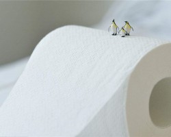 貼近市場 造紙、包裝業(yè)巨頭千里躍進東南亞