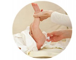 紙尿褲的組成結構？