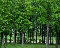 重污染天企業未應急減排 將罰違法生產期間30~50%營收