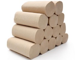 真誠紙業(yè)生活用紙擴建項目在公安開工