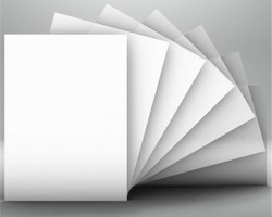 玖龍張茵：近期紙價已調(diào)漲100元/噸