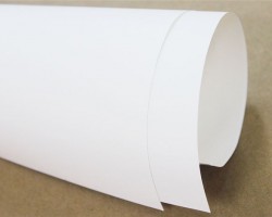 成本居高不下 紙業(yè)龍頭齊漲價