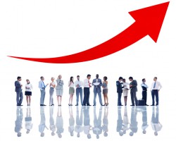 造紙上市公司股價異動 行業龍頭股價創階段新高