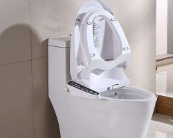 國外廁紙供不應求 引發全球坐便沖洗器銷量飆升