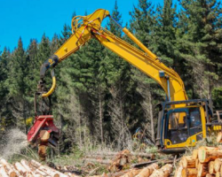 加拿大森林部門發出警告：制槳造紙用木片短缺