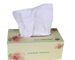 清風連續2年榮獲中國品牌榜紙巾/卷紙類品牌