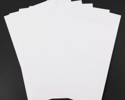 美國薩凡納港木漿 及紙和紙板出口量均有增長