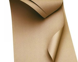 廢紙下浮原紙穩定 短期可能平穩運行