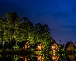 9個(gè)交易日6次提示風(fēng)險(xiǎn) “著火”的宜賓紙業(yè)還能燃多久