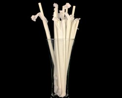 元旦后生活用紙企業密集投產