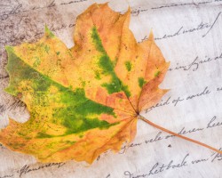 Libresse薇爾馳援河北，急送褲型衛生巾貼心守護前線醫護女戰士