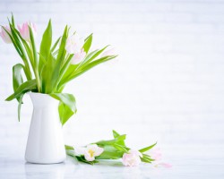 母嬰行業(yè)迎“卡位”戰(zhàn)，紙尿褲商家都在關(guān)注哪些增長信號？