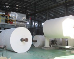 探秘衛(wèi)生紙廠家：品質(zhì)背后的匠心與實力